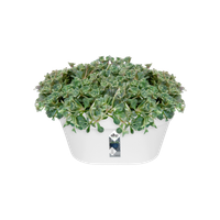 loft urban wall basket 40cm white